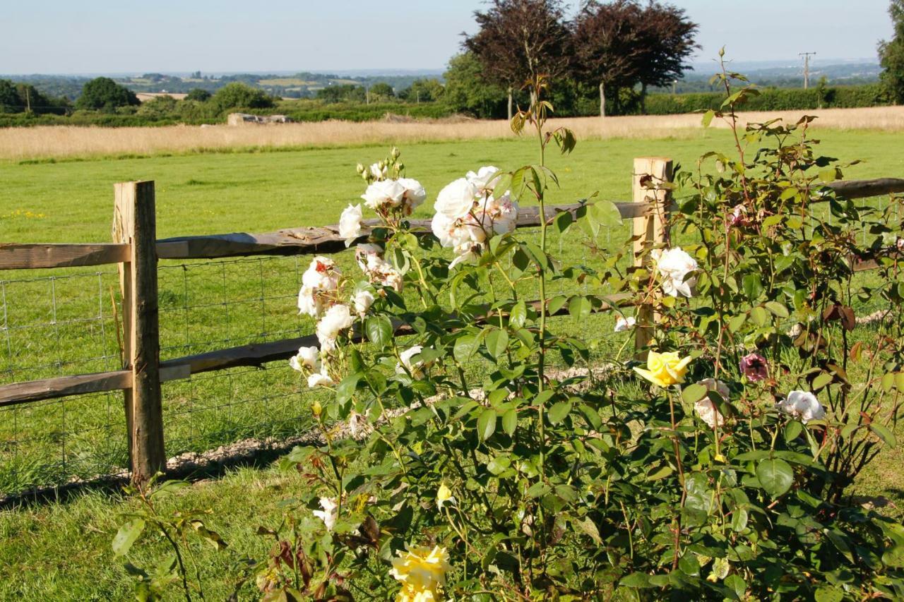 Bewl Rookery B&B Wadhurst Esterno foto